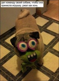 Комментарии и "баяны" из социальных сетей и не только