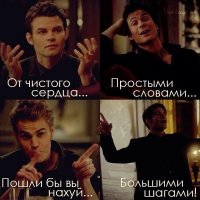 Брошенная собака не может перестать улыбаться после того, как нашла новый дом  