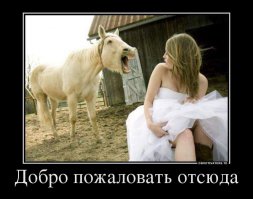 Вот так надо встречать всех цыганок которые к вам подходят