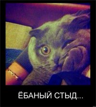 Подборка ТП