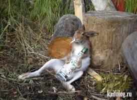 Скоро праздник близко близко....