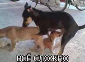 Памятники всякие нужны, и они очень важны!!!