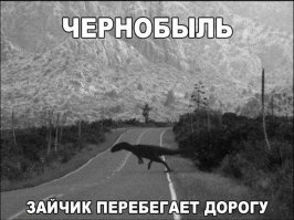 Встречайте самого стильного в мире кролика