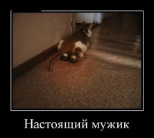 Демотиваторы 29.04.16