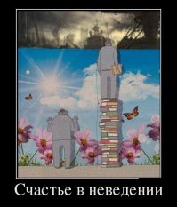Демотиваторы 29.04.16