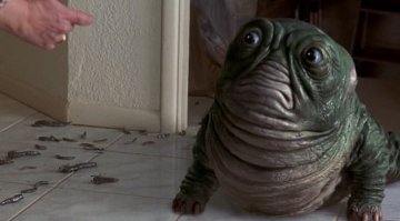 Зверское нападение морского слона на мужчину!