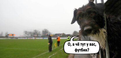 Голый болельщик выбежал на поле и размахивая своим "отростком" начал приставать к футболистам