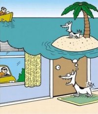 7 иллюстраций, которые демонстрируют, как собаки видят мир