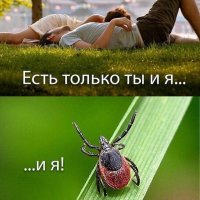 Их часто не замечают...но они есть