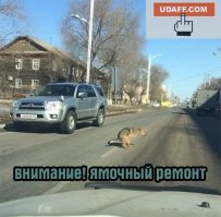 Свежая подборка автоприколов