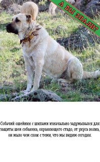 Да.Знал.