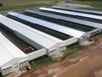 Современные курятники выглядят вот так: