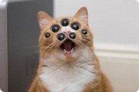 Гигантские блоки Баальбека