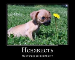 Счастливые до безобразия жители Северной Кореи