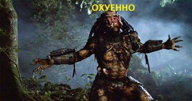 Игра в прятки с природой