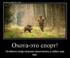 Черным копателям - "нет" в моём лесу!