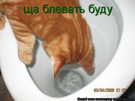 И снова социальные сети