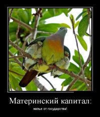 Ипотека