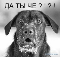 Эксперты назвали средний заработок российской семьи в 2015 году