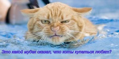 Да, нет это чтобы в туалет ходить было удобно, а не то что вы подумали.