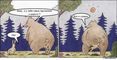 Комментарии и "баяны" из социальных сетей и не только