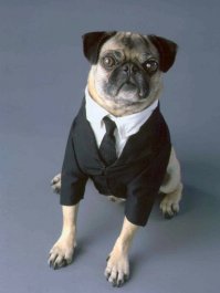 в третьей части его не хватало(((