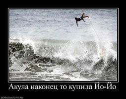 10 легендарных акул-людоедов