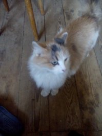 Вот жрет всё что пищит и чирикает.