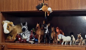 Не знаю, почему (я горожанин, программист), но у меня лошадки...
Сам специально не собираю, но они всё равно откуда-то берутся...