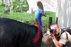 а вот эта птичка меня впечатлила, когда рядом с ней стоял...