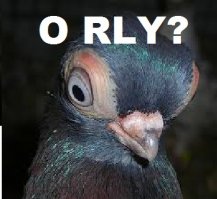 Новый телевизор от Лыжы