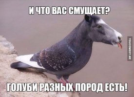 Чтобы послушать великолепную музыку в живом исполнении, совсем необязательно покупать билет на концерт! (1 фото+видео)