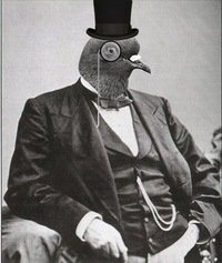 Легкий седельный тягач из Toyota Sunrader 1981