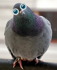 Будильник, который не оставляет шанса проспать