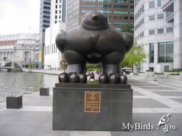 Легкий седельный тягач из Toyota Sunrader 1981