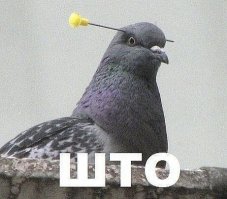 Неизвестный Казахстан Алматинский Свято-Вознесенский кафедральный собор 