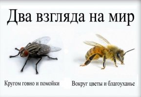 Роботы отжимают гостиничный бизнес?