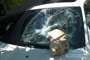 СтопХам в вопросах и ответах