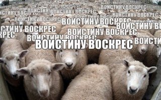 Всех православных со светлым праздником Пасхи !