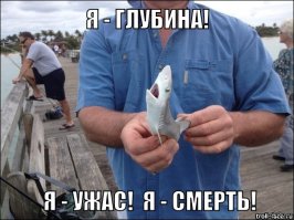 10 легендарных акул-людоедов