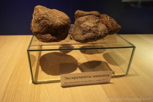 Всё гавно! Но это самое старое!