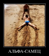 Свежая подборка демотиваторов 30.04.2016 