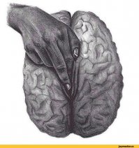 Флаг России в небе