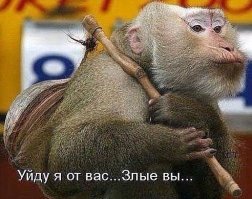 29 крутых фотографий совершенно неожиданных вещей