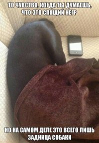 Тушите свет, нас нагло обманули 