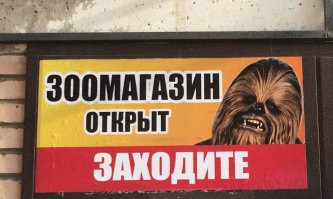 Когда обычных домашних животных становится уже мало