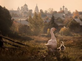 автору спасибо что, не забыл и про нашу красивую матушку Россию - плюсую ЗА - Город Суздаль, Россия!!!