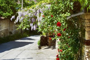 Болгария, деревня Арбанаси (под Велико-Тырново) на этой неделе