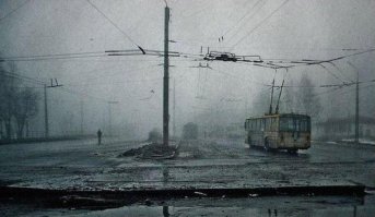 Обратите внимание - у  них оно не само выросло, это люди позаботились.
Не знаю как в  других местах - но у  нас  за попытку облагородить  банально двор можно получить в зубы с формулировкой "а  нехрен тут командовать, не выпендривайся, хозяин тут нашёлся !