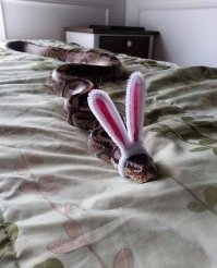 16 людей, которые умеют быть фотогеничными в любых ситуациях